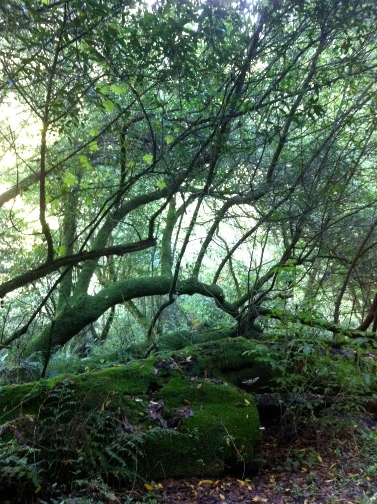 Nature soothes the spirit...