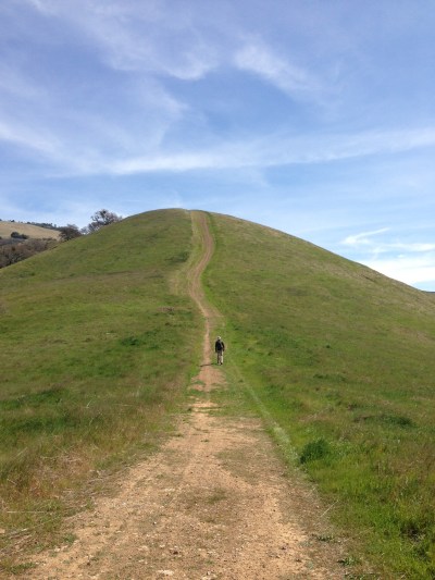 We are responsible for the roads we take...