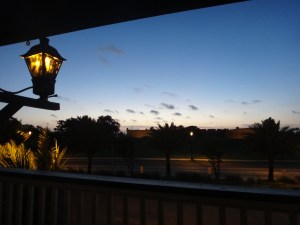 Will you still be here tomorrow?