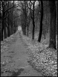 A time to reassess your path by Rantes