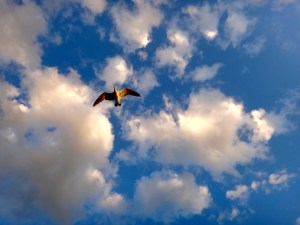 Fear can't stop you...