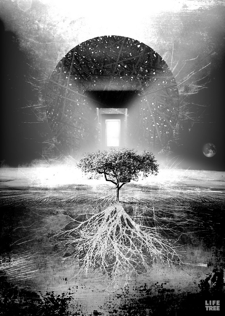 CC courtesy of Murat Ertürk. Flickr.