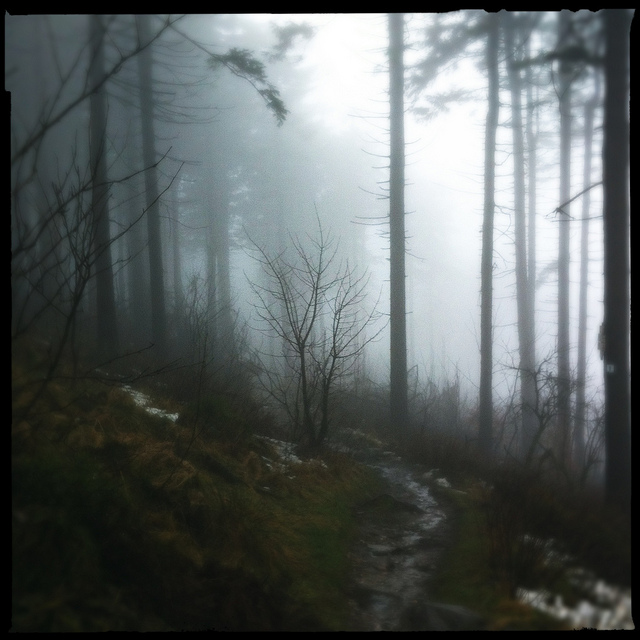 CC by Melanie on Flickr