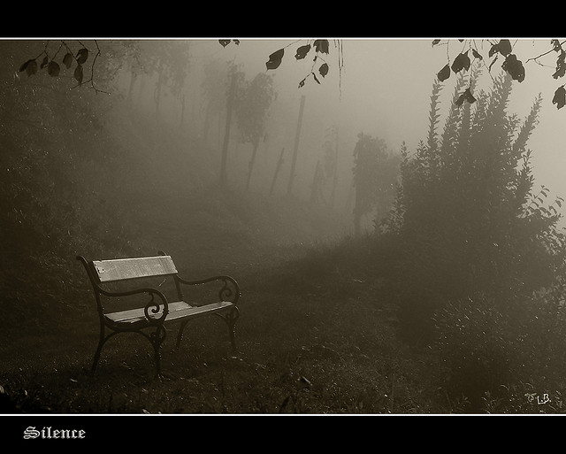 CC Flickr image by Bernhard Latzko