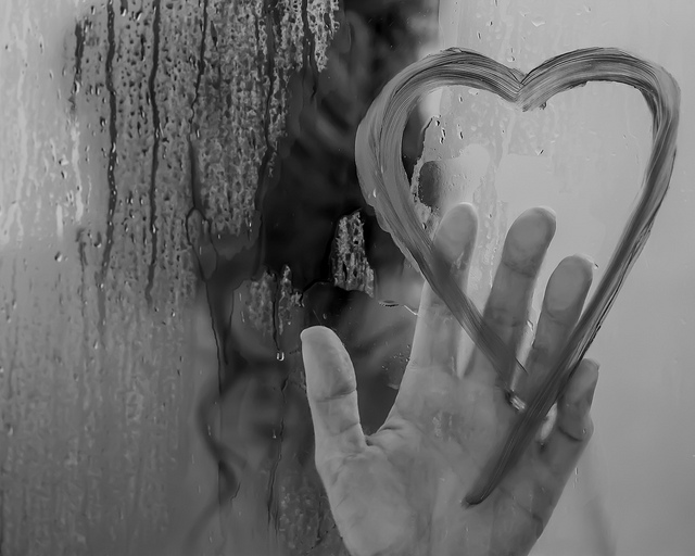 CC by Lotus Carroll on Flicker