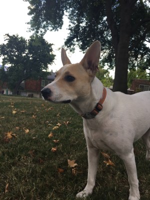 My puppy, my love. September 28th.