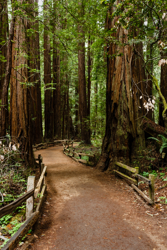 shutterstock_148561268